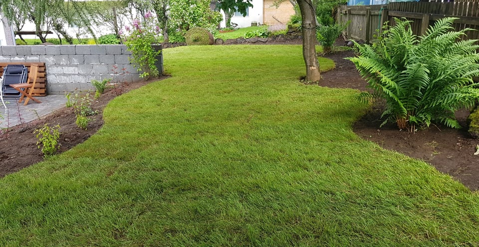 89450605_101158841526810_6123889629063020544_n